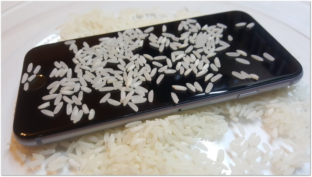 wet cell phone rice
